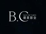 祝贺视美经典影业与重庆公司签署网站建设协议