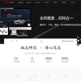 上海网站制作建设-网站优化-网络设计公司-小程序开发-史特信息技术